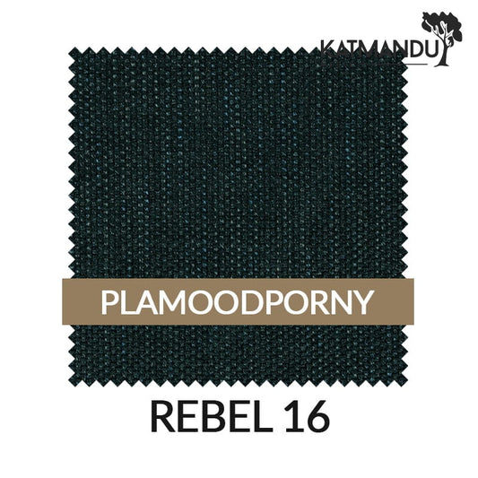 Esszimmerstuhl Olbia in Grün – Chenille Rebel 16 mit Massivholzbeinen