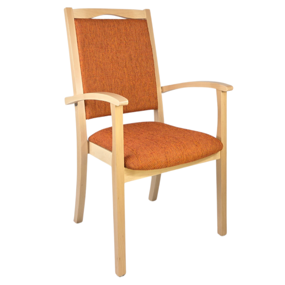 Alexander Hochlehner Seniorenstuhl – Ergonomischer Armlehnenstuhl für Senioren und Pflege