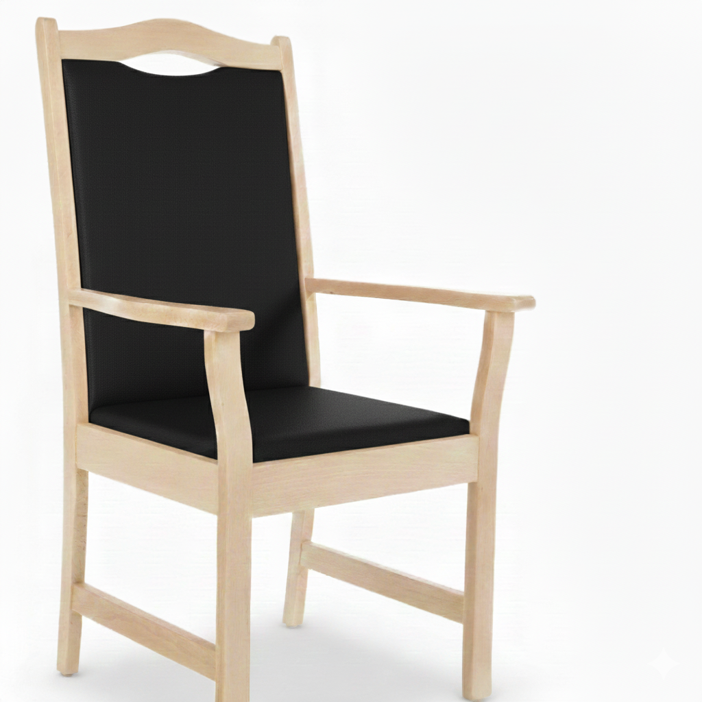 Armlehnenstuhl Hochlehner Manuel – Bequemer Hochlehner mit Armlehnen für Senioren und Pflege